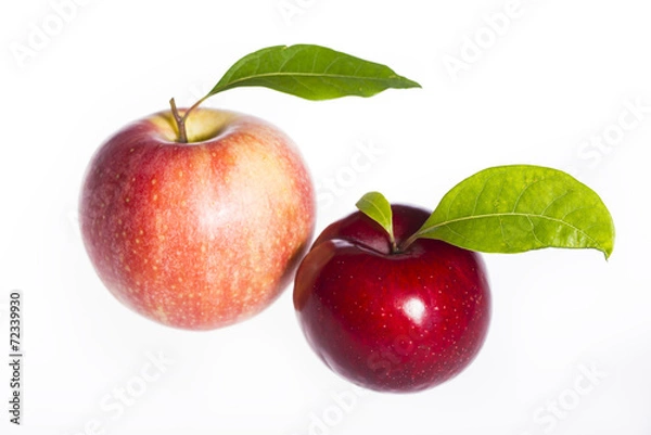 Fototapeta Fresh fruit isolated on white background