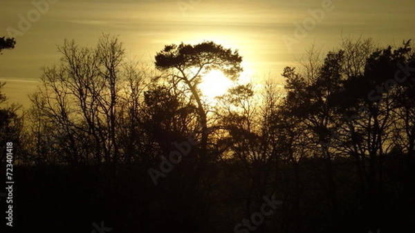 Obraz Zachodzące slonce