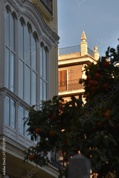 Obraz Architecture in Valencia