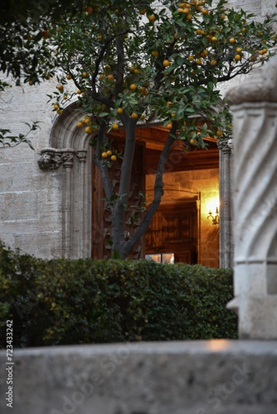 Obraz Architecture in Valencia