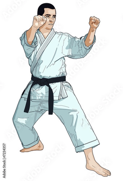Obraz Karaté illustration