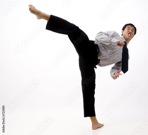 Obraz roundhouse kick