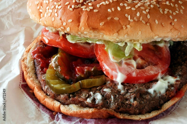 Obraz sloppy hamburger