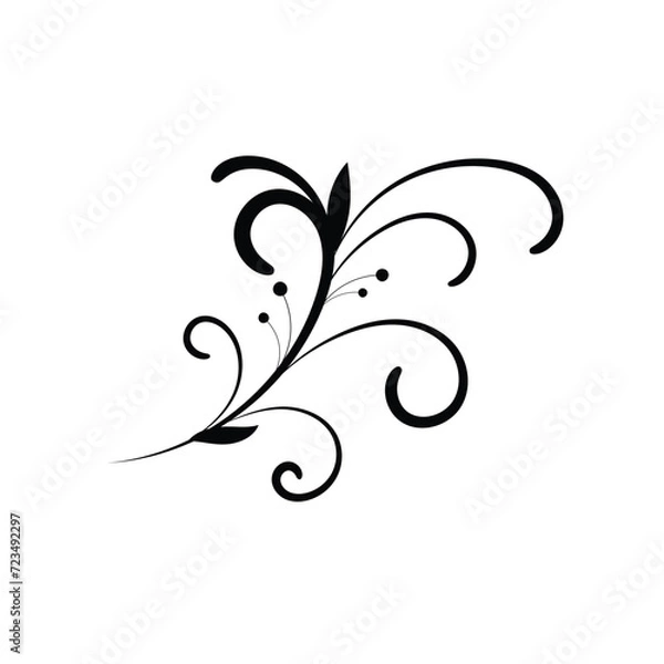 Obraz floral ornament vector design illustration isolated