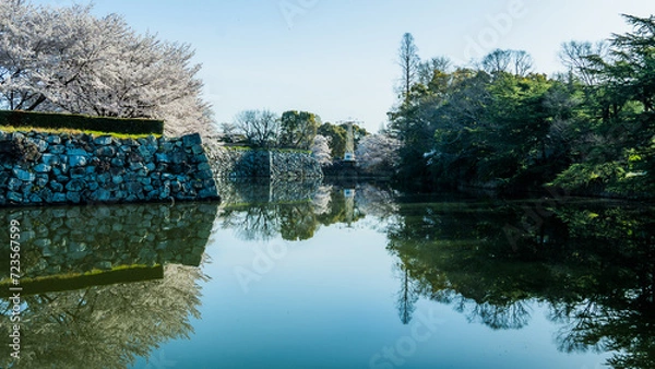 Obraz reflections in the water