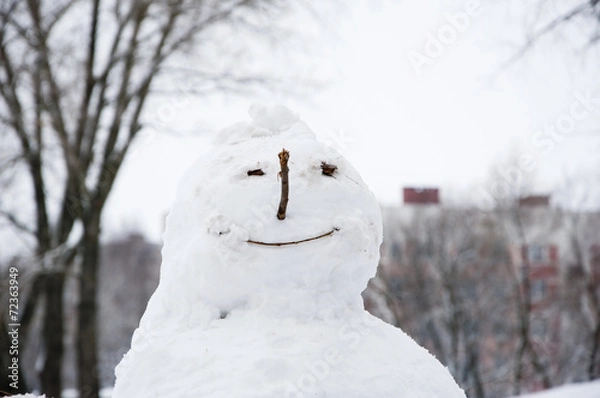 Obraz snowman