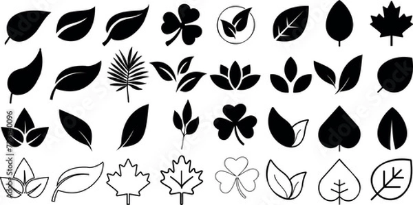 Fototapeta Leaf silhouettes, vector collection, diverse leaves shapes, nature elements. Ideal for eco friendly brand aesthetics, botanical illustrations, educational materials, artistic designs, decorations.