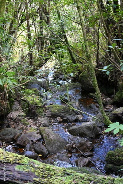 Obraz Mountain stream 