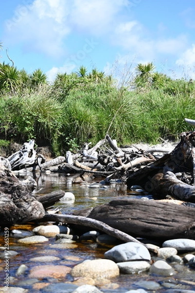 Obraz Driftwood in the stream 