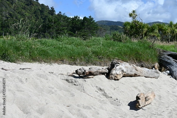 Obraz Sandy beach with mountain backdrop