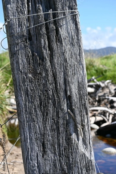 Obraz Old post texture 