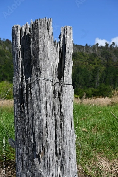 Obraz old wooden post