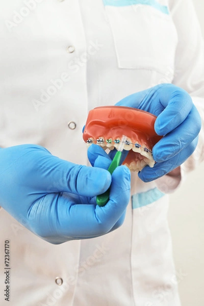 Obraz braces model with brush