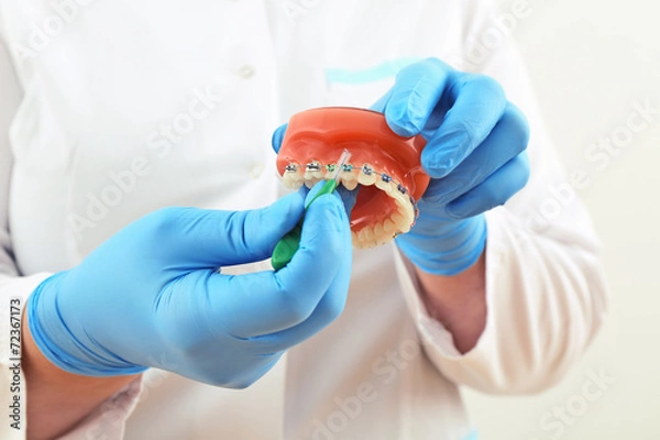 Obraz braces model with brush