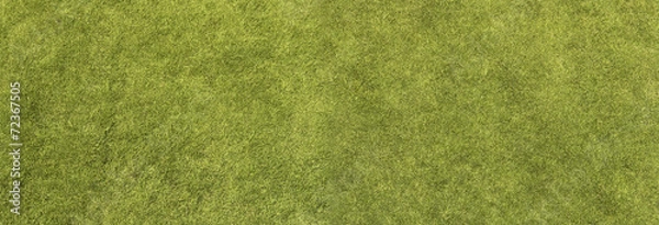 Obraz Trawa Tekstura
