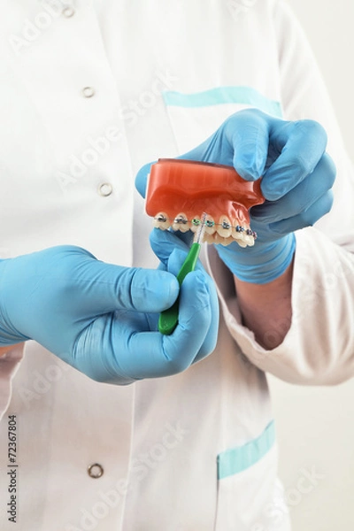 Obraz braces model with brush
