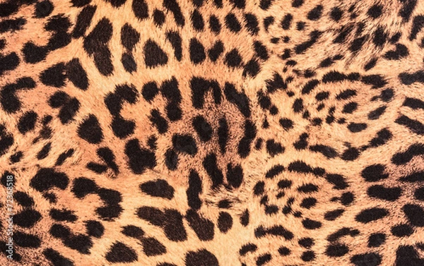 Fototapeta texture of close up fabric striped leopard