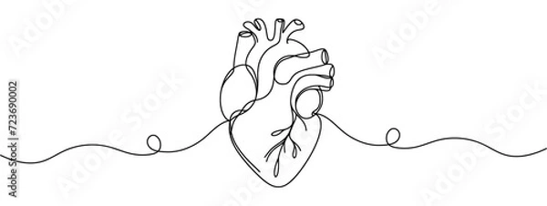 Obraz One continuous line drawing of anatomical human heart organ. Medical internal anatomy concept. Modern single line draw trendy design vector illustration