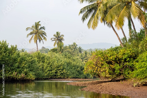 Obraz Landscape with mangroves and palm trees.  