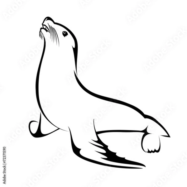 Obraz Sea Lion