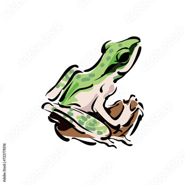 Obraz vector cute frog cartoon style on a white background