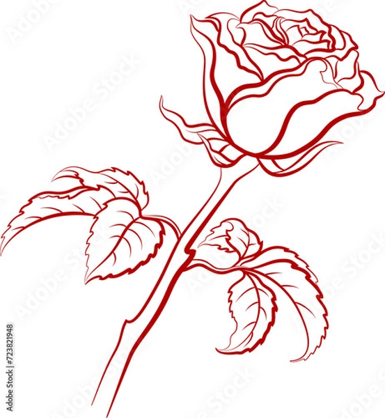 Fototapeta Rose Flower with Leaves Red Contour Isolated on White Background. Vector