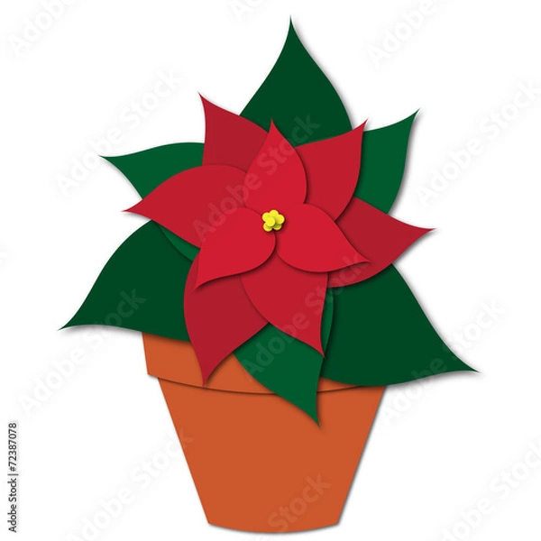 Obraz Poinsettia potted felt