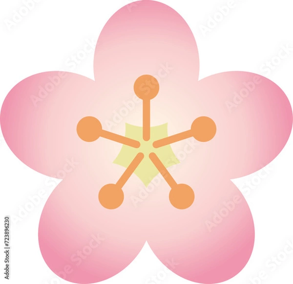 Fototapeta Cherry blossoms