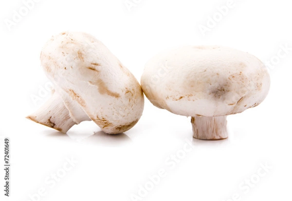 Fototapeta mushrooms