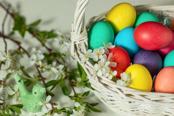 Fototapeta white wicker basket with colored eggs and spring flowers on the table, happy Easter concept