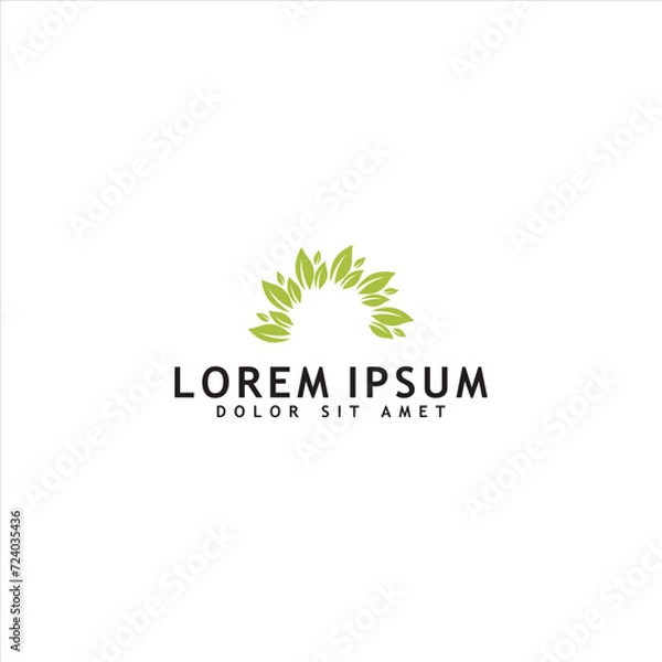 Obraz Green leaf logo design vector isolated on white background. eco organic logo design vector template.