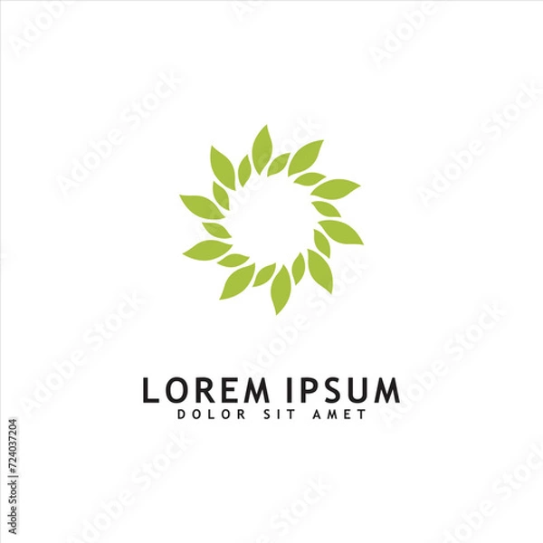 Obraz Green leaf logo design vector isolated on white background. eco organic logo design vector template.