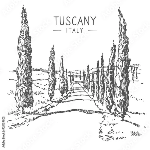 Fototapeta Vector sketch illustration of the road with cypress in Tuscany, Italy, Europe. Sketchy line art drawing with a pen on paper. Sketch in black color isolated on white background. Freehand drawing.