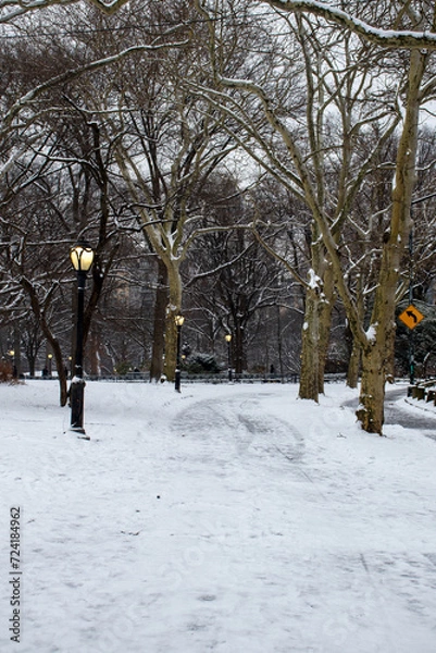 Fototapeta winter snow in Central Park