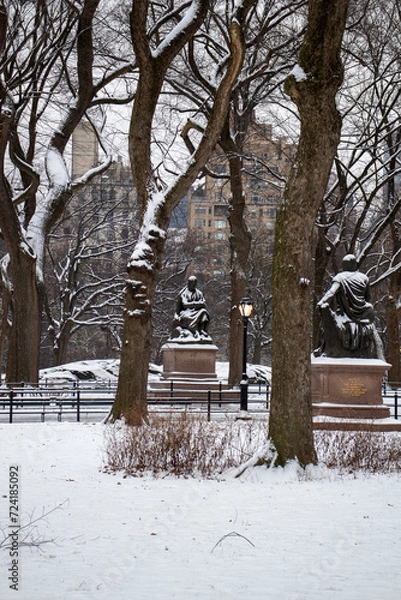 Fototapeta winter in the park