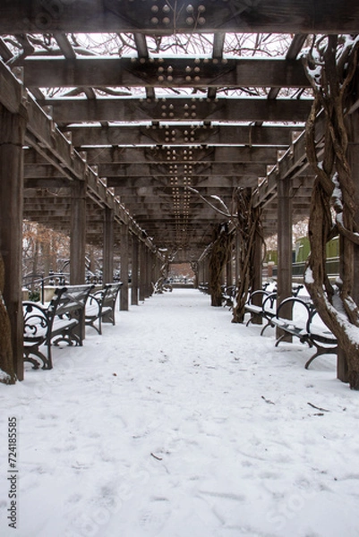 Fototapeta winter snow in Central Park