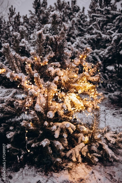 Fototapeta winter in the forest decorated with lights and garlands of a Christmas tree. the magic of Christmas snowy forest decorate the Christmas tree in the forest