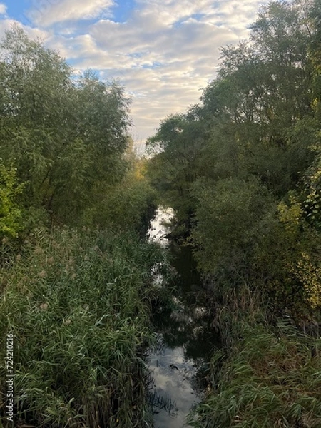 Obraz Montreal river