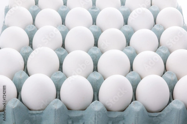 Obraz Egg packaging isolated on white background