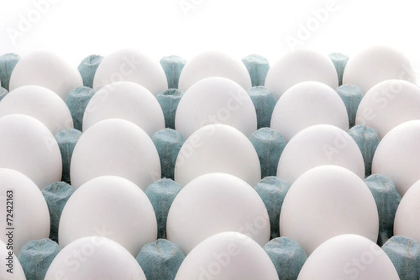 Obraz Egg packaging isolated on white background