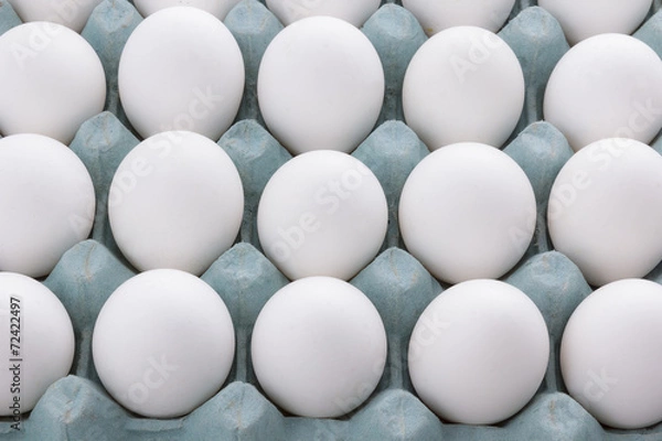 Obraz Egg packaging isolated on white background