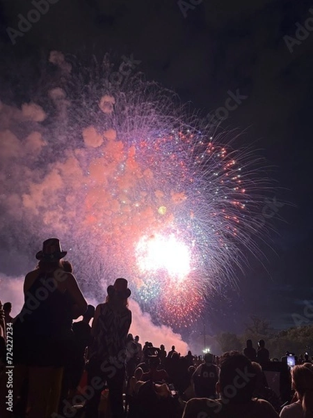 Obraz crowd at night fireworks