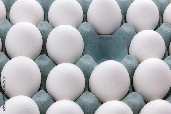 Obraz white Eggs in the packaging