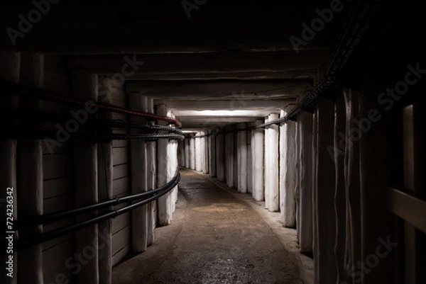 Fototapeta Wooden casing around the historic mine gallery. Traditional materials used in mine security