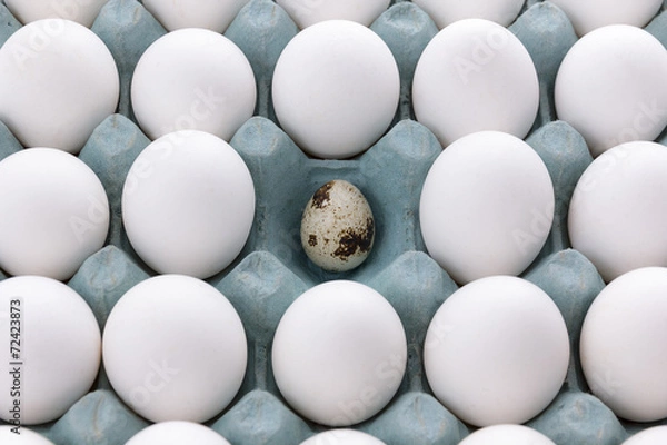 Obraz white Eggs in the packaging and quail egg