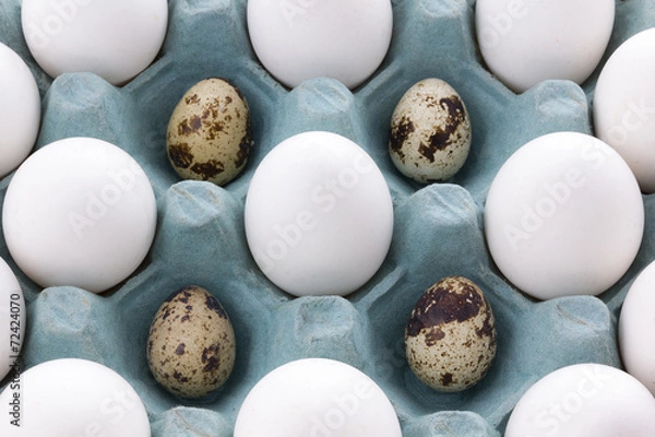 Obraz white Eggs in the packaging and quail egg