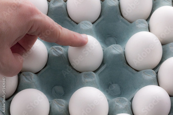 Obraz white Eggs in the packaging