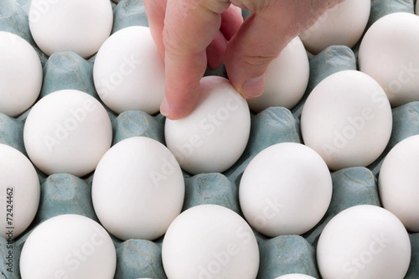 Obraz white Eggs in the packaging
