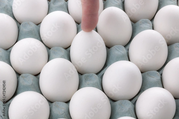 Obraz white Eggs in the packaging