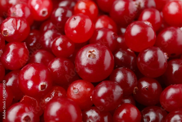 Fototapeta Fresh ripe cranberries as background, closeup view